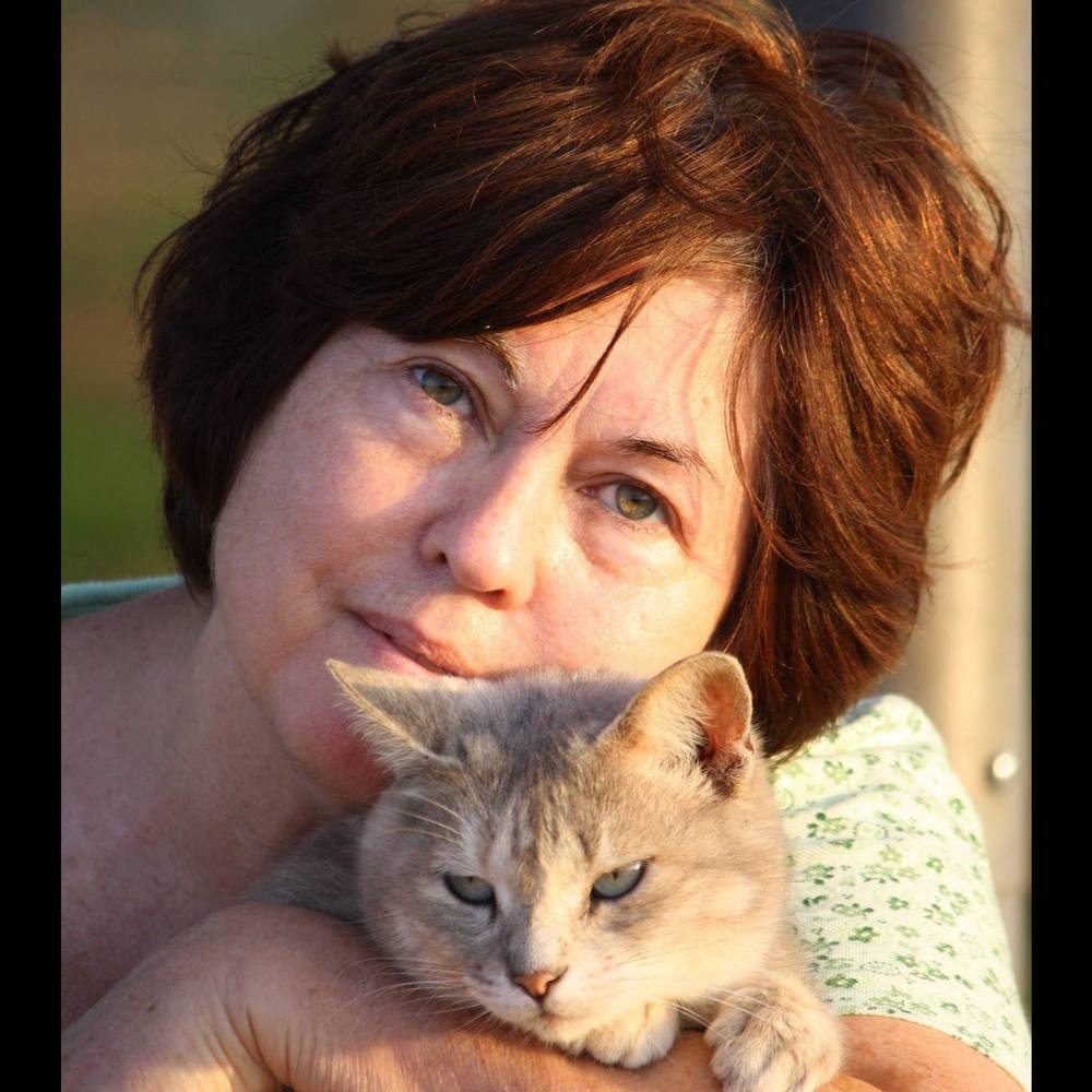 Meet your Posher, Posh Cat